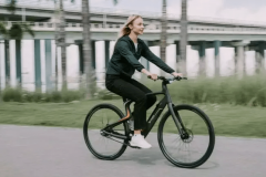 国外风靡，国内小众，E-bike会