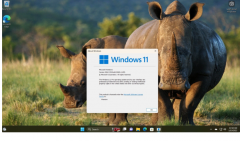 微软Win11正式版Build 22621.1105发