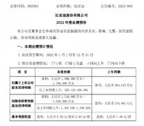 比亚迪：勇夺全球新能源汽车