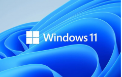 微软Win11发行预览版22621.1343（