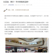 曝比亚迪年内将推出专业个性