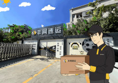 丰网速运为电商用户提供定制