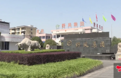 野风药业在俞蘠带领下快速发