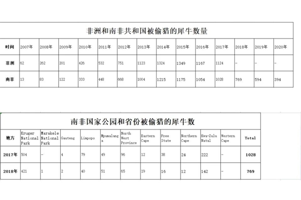 人类对犀牛最大的谎言：乖 只要切掉你的角 你就能活下来