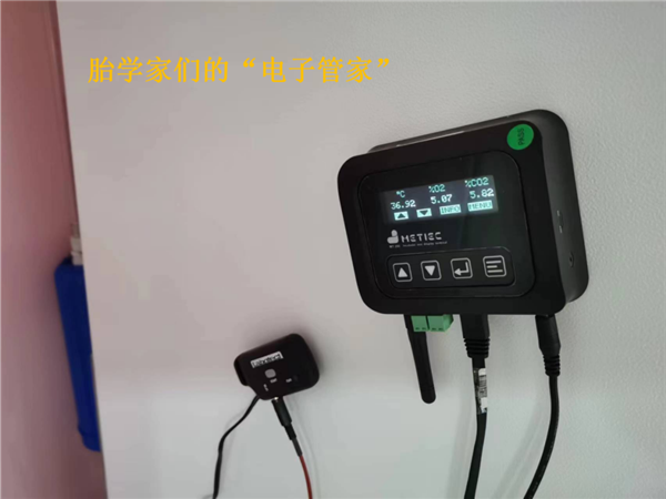 试管婴儿就是从试管里出生的孩子吗？