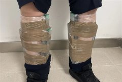 拱北海关所属青茂海关查获一