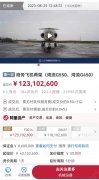 阿里拍卖两架湾流公务机1.23亿