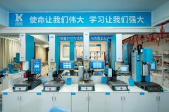 全球两强格局下的灵科超